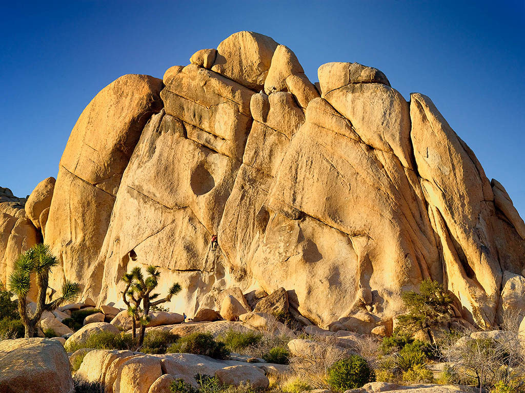 Formation rocheuse au Joshua Tree National Park.