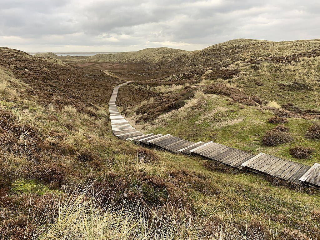 Dunes à Sylt en Allemagne - Photo ccbysa 4.0