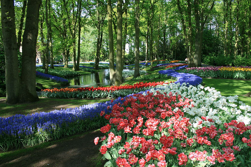 Jardin Keukenhof, triomphe de fleurs près d'Amsterdam.