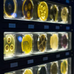 Micropia, Musée des Microbes à Amsterdam