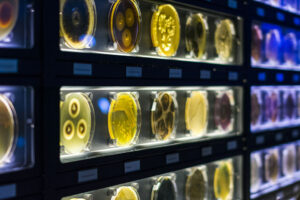 Micropia, Musée des Microbes à Amsterdam