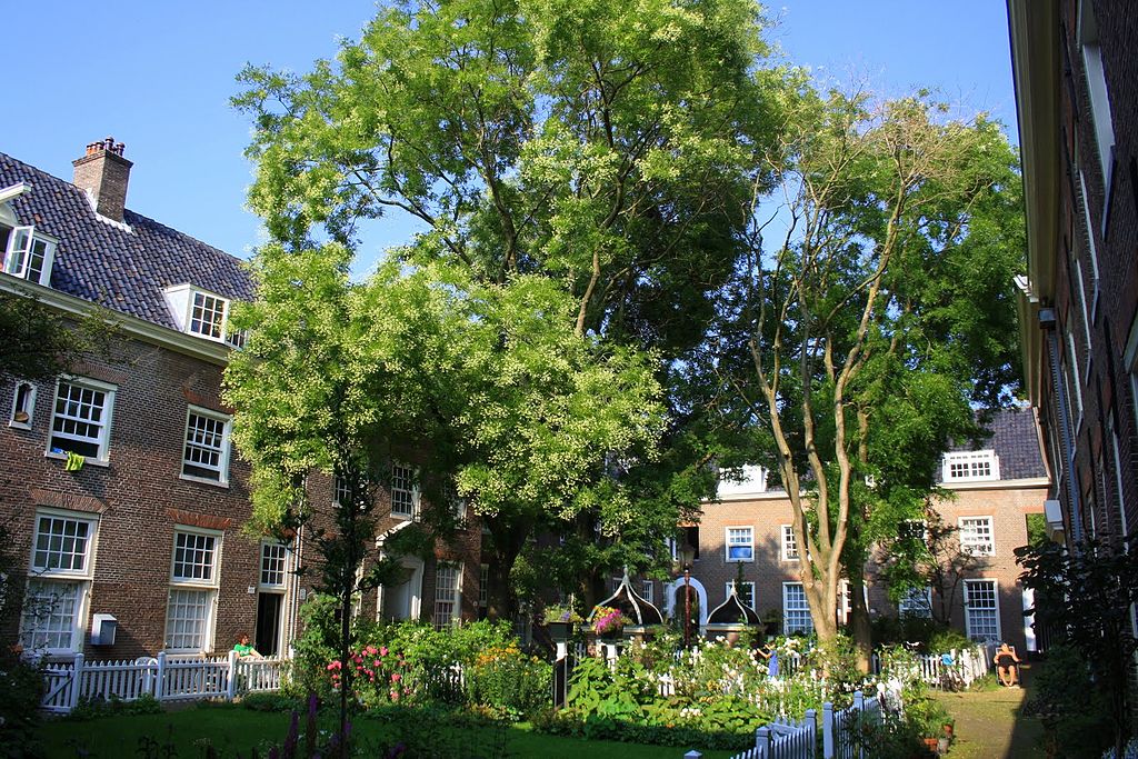 Cour arborée de Huiszitten-Weduwenhof dans le quartier de Jordaan à Amsterdam - Photo d'Eibert Draisma