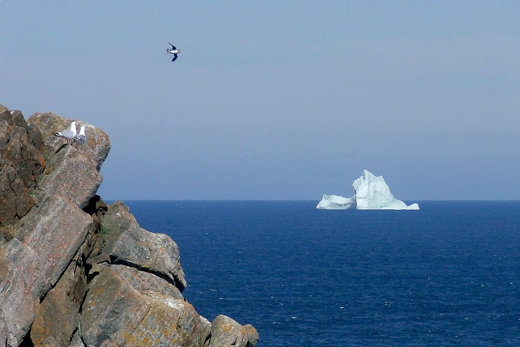 Iceberg dérivant - Photo de WikiPedant - Licence ccbysa 4.0