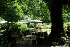 Meho café, belle terrasse et jardin à Cracovie [Piasek]