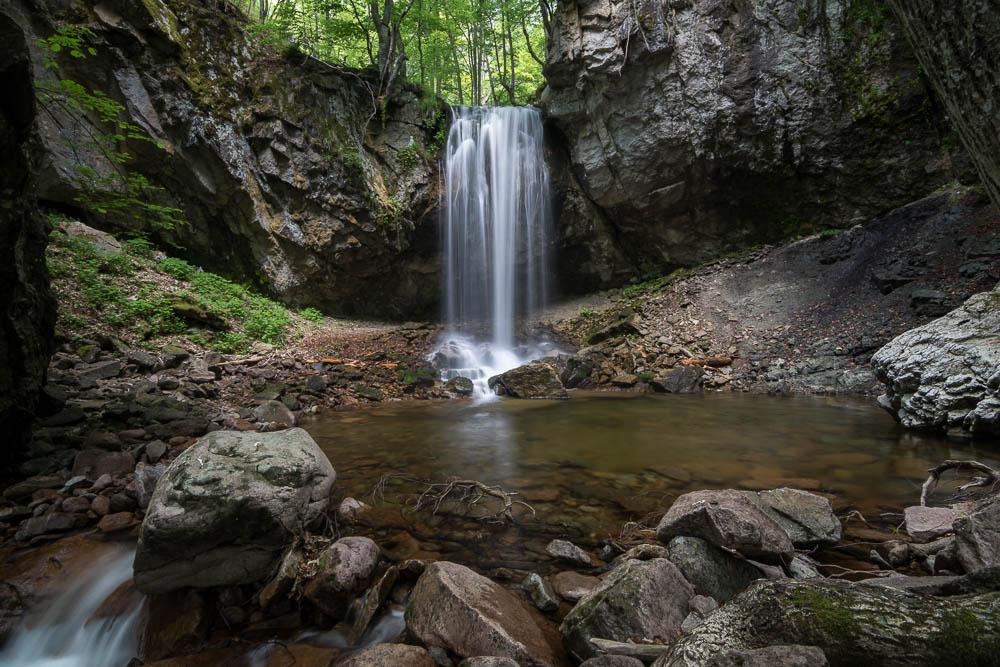 Dans la forêt de Frakto - Photo de Nicholas P. Karampetakis - Licence ccbysa 4.0