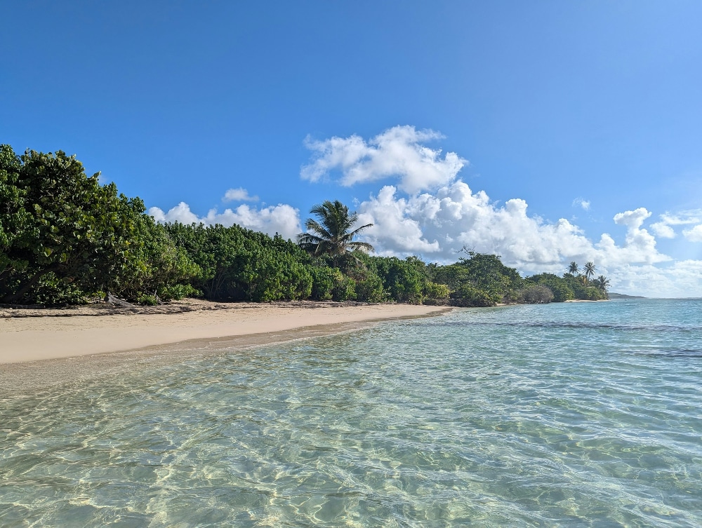 Plage du Bois Jolan à la Guadeloupe - Photo d'Olivier Piquer - Licence Unsplash