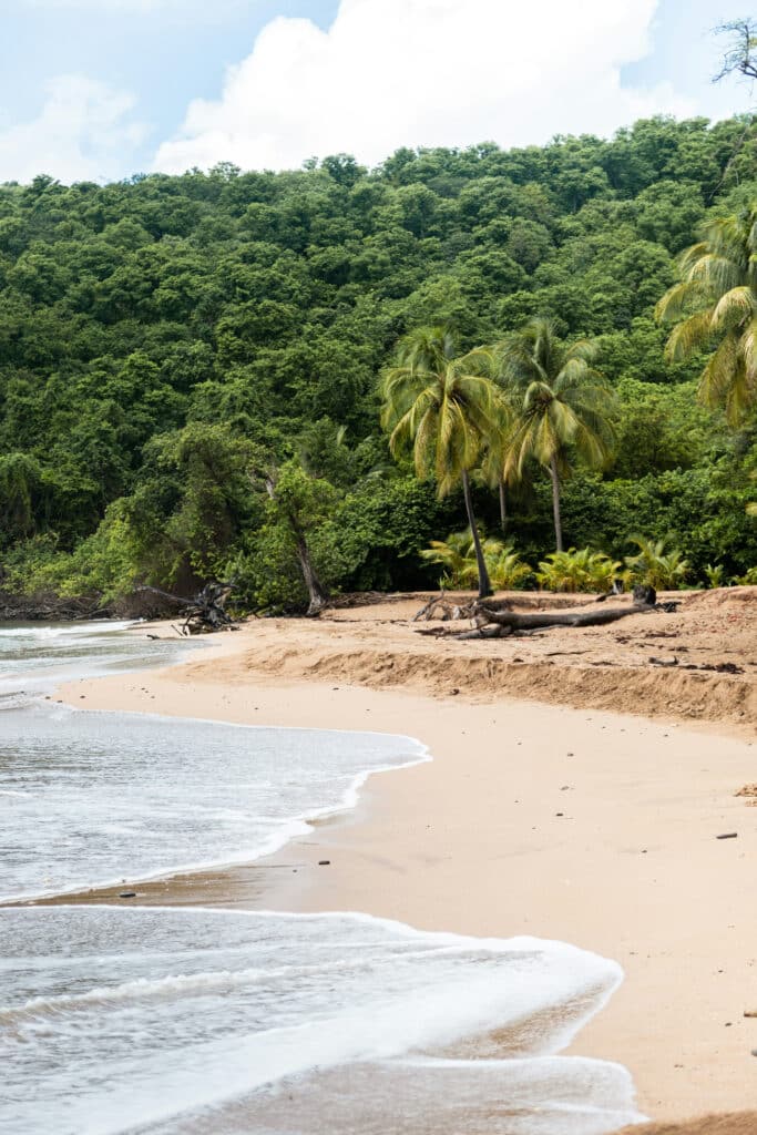 Plage de l'île de la Guadeloupe - Photo de Simon Humler - Licence Unsplash