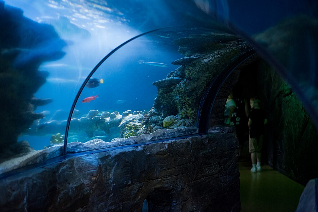 Aquarium Sea Life à Londres - Photo d'Ox - Licence ccbysa 4.0