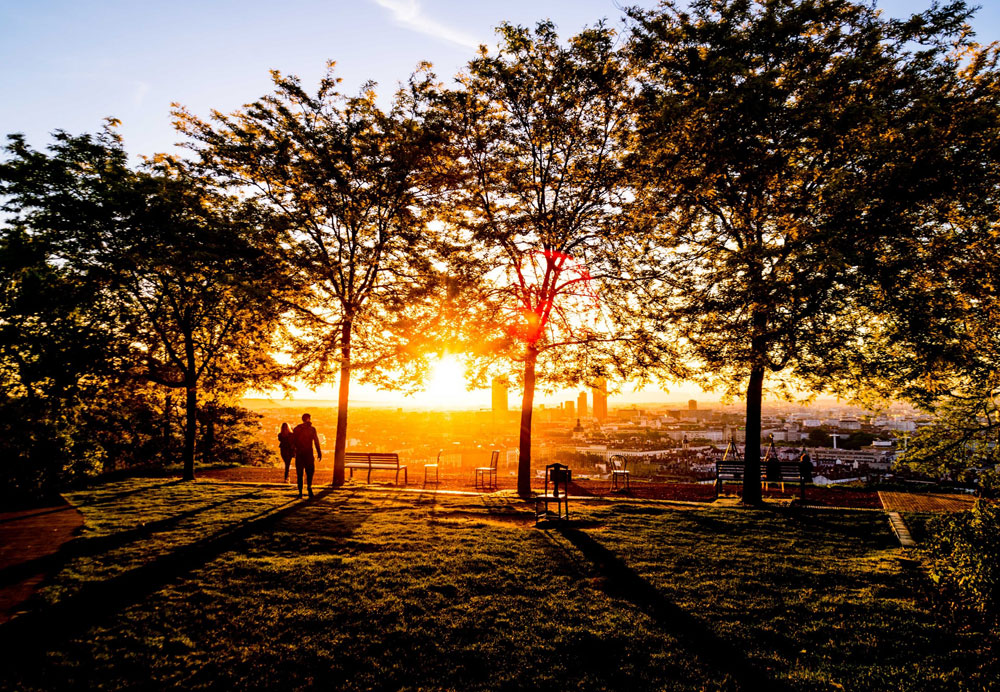 Jardin des curiosités à Lyon - Photo de Leonard Cotte