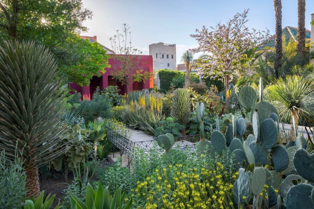 Jardin exotique du Jardin Secret de Marrakech. Photo du Jardin Secret.