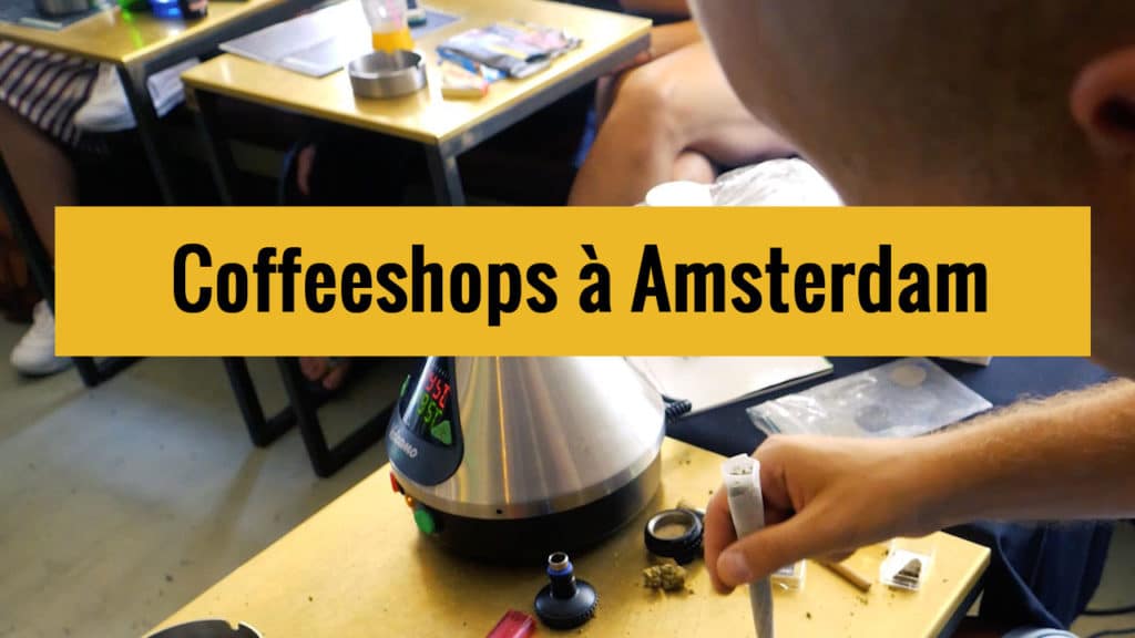 Lire la suite à propos de l’article Coffeeshop à Amsterdam : Conseils aux fumeurs