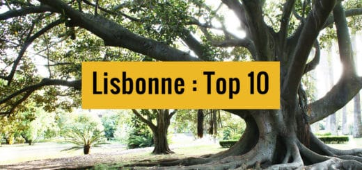 Top 10 à Lisbonne : Lieux incontournables et expériences essentielles