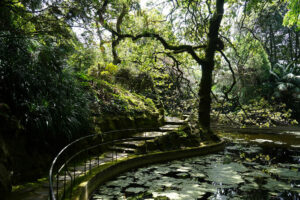 6 Parcs et jardins insolites à Porto