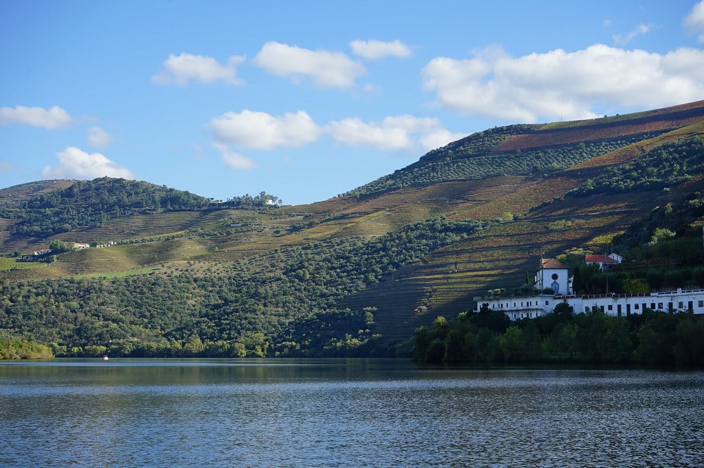 Croisière sur le Douro au départ de Pinhão.