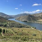 Vallée du Douro près de Porto: Dégustation et croisière