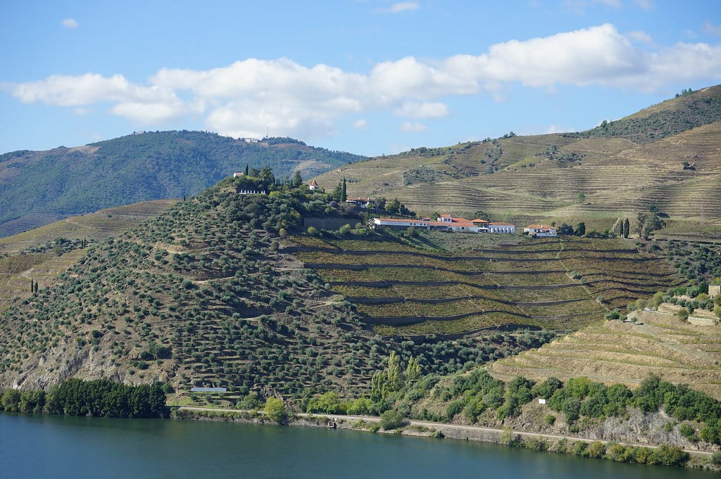 Vue sur la Quinta de Crasto, assez sublime d'harmonie.