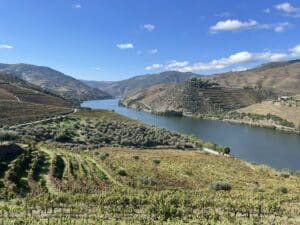 Vallée du Douro près de Porto: Dégustation et croisière