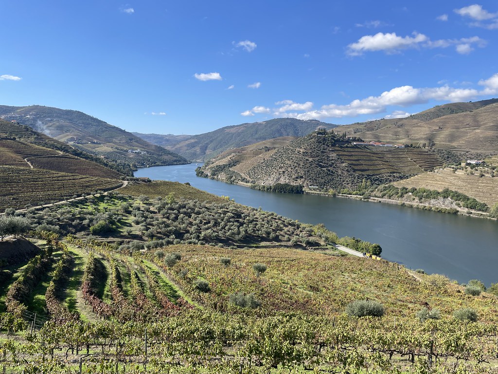 Lire la suite à propos de l’article Vallée du Douro près de Porto: Dégustation et croisière